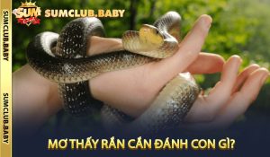 Mơ thấy rắn cắn